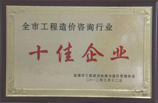 全市工程造價咨詢行業十佳企業